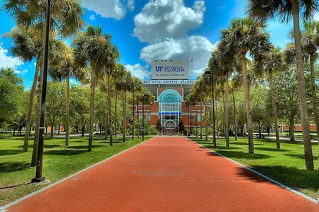 University Of Florida College 28