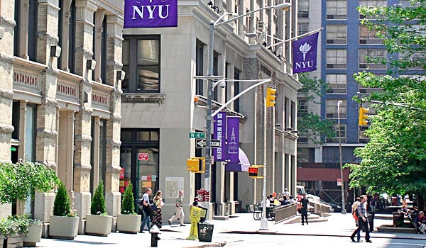 Nyu undergraduate admissions essay