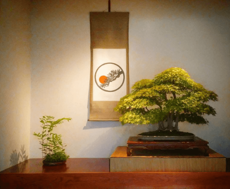 national bonsai foundation