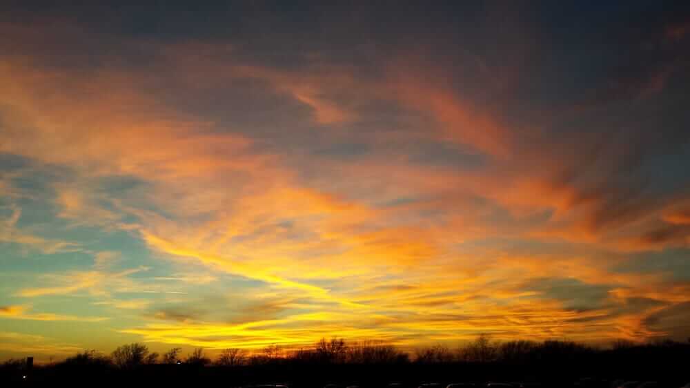 arbor hills nature preserve dallas