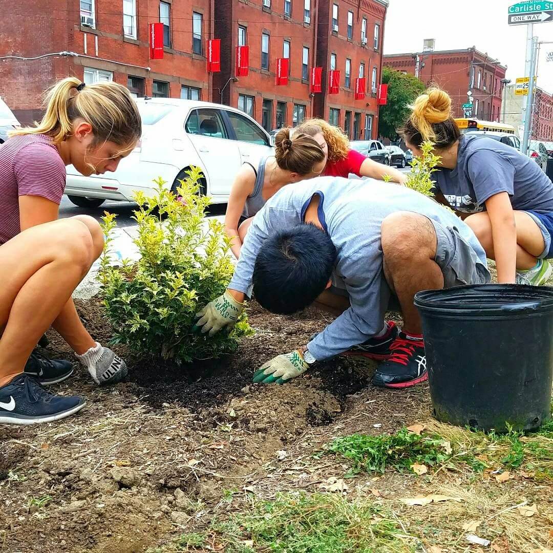 Temple Community Garden members planting on campus