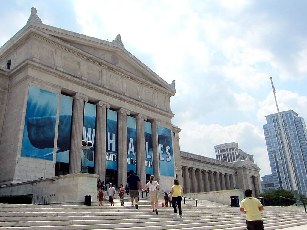 museum chicago