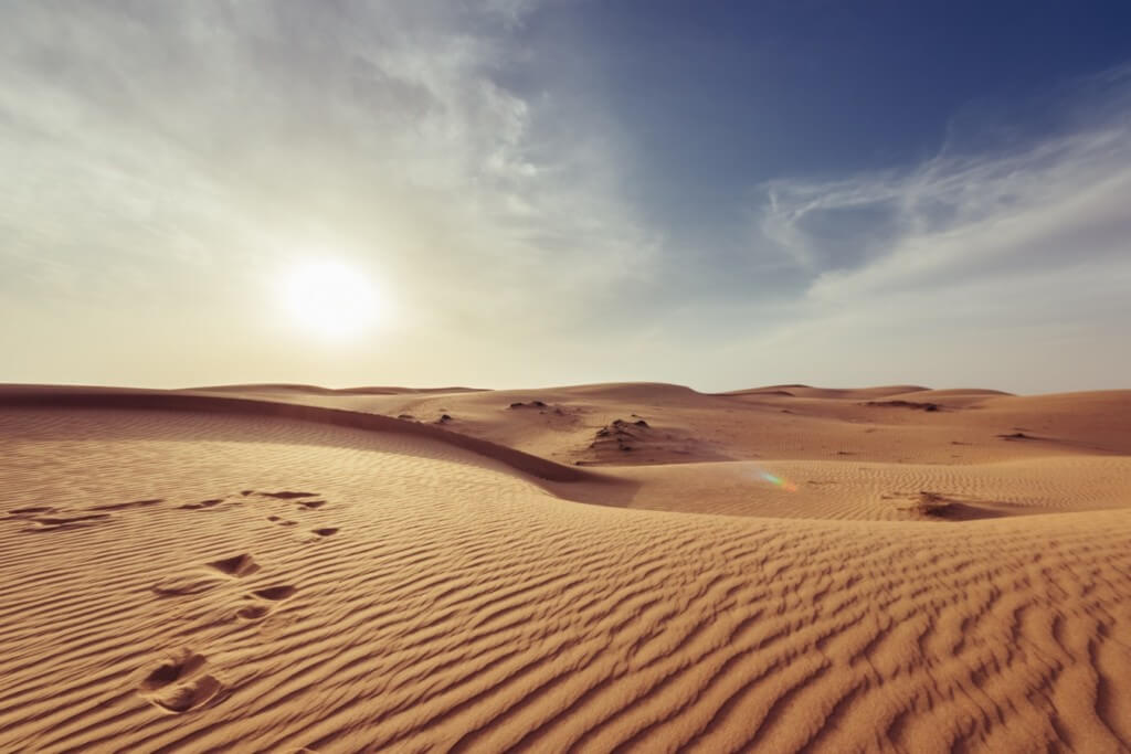 desert classes at university of michigan