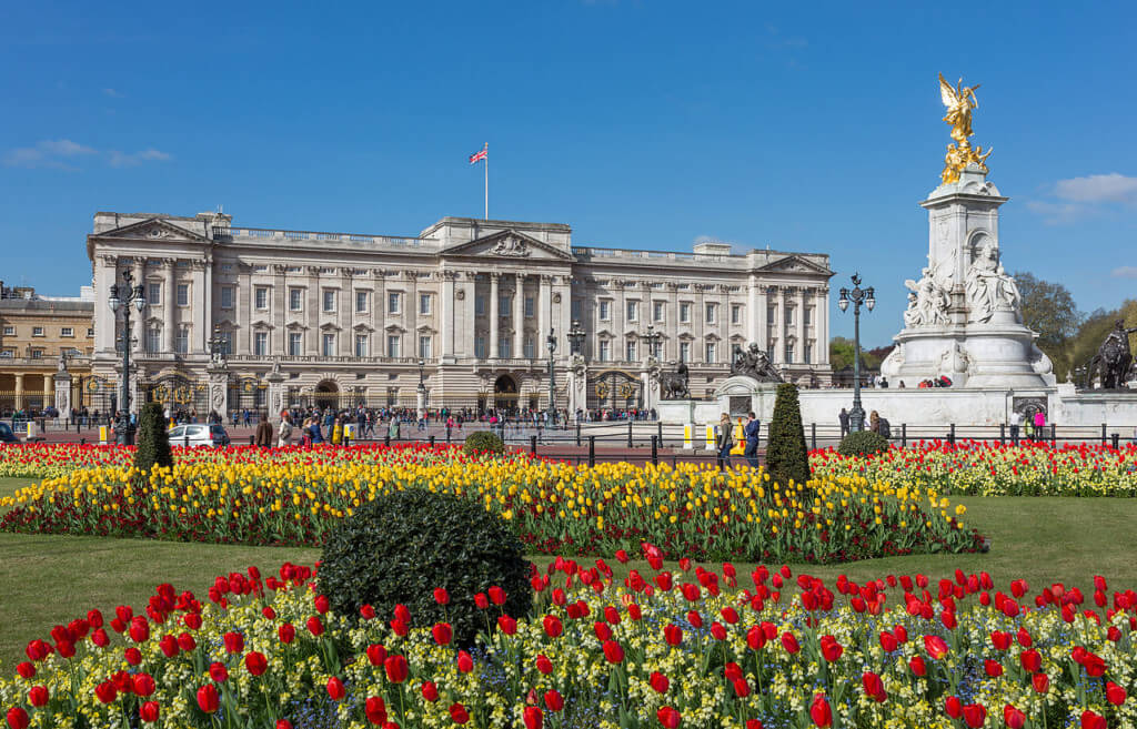 buckingham palace things to do in london