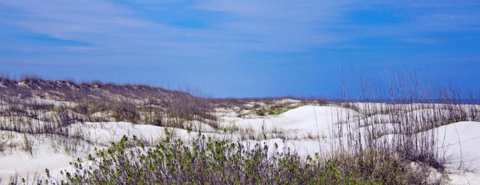 things to do in st. augustine beach