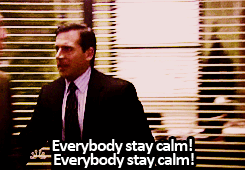 Everybody stay calm michael scott quotes