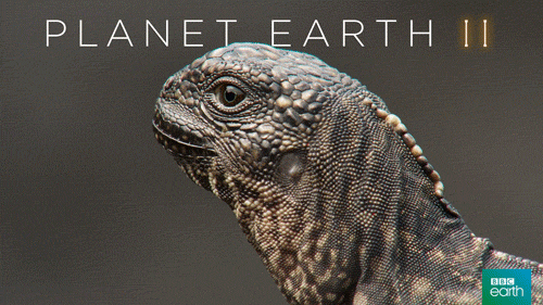 Planter Earth 2