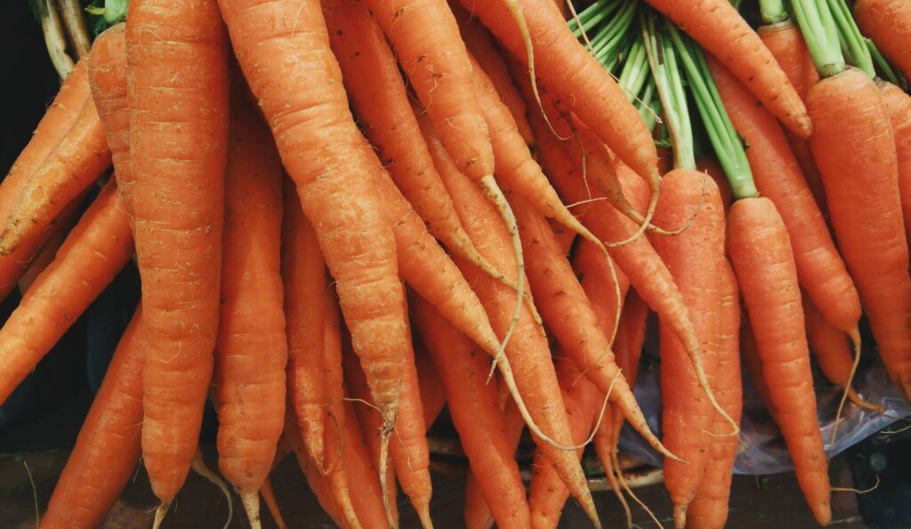 carrot