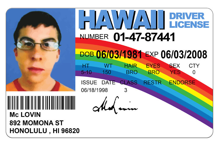 Teenager Gets Arrested For Fake Mclovin Id