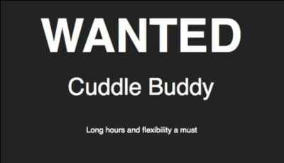 Wanted sign for finding a cuddle buddy. Long hours and flexibility a must.