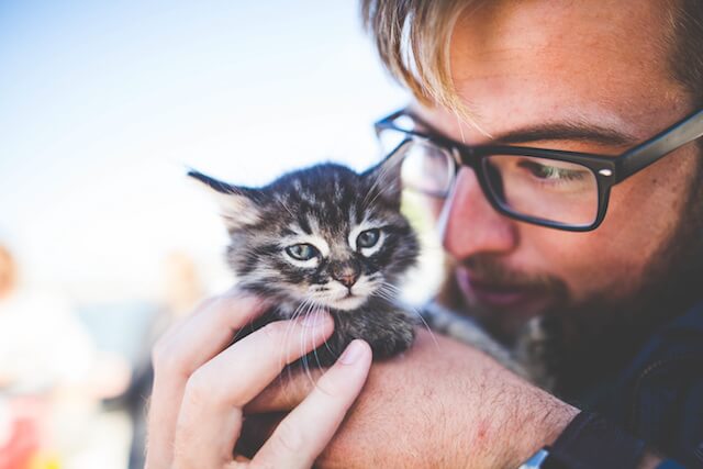 cuddle buddy guy and kitten