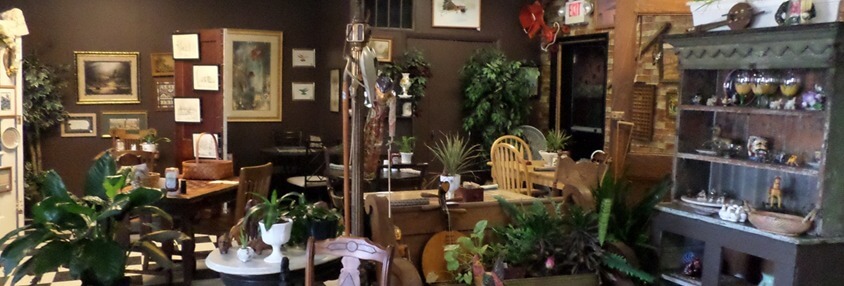 aardvarkcafe.com