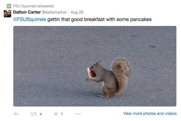 twitter.com