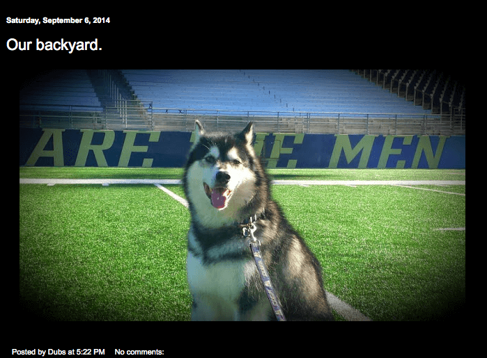 huskymascot.com