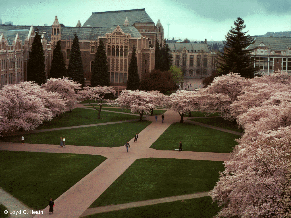 washington.edu