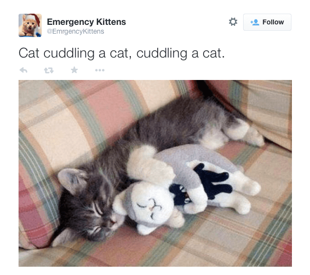 cute emergency
