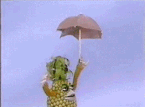 giphy.com