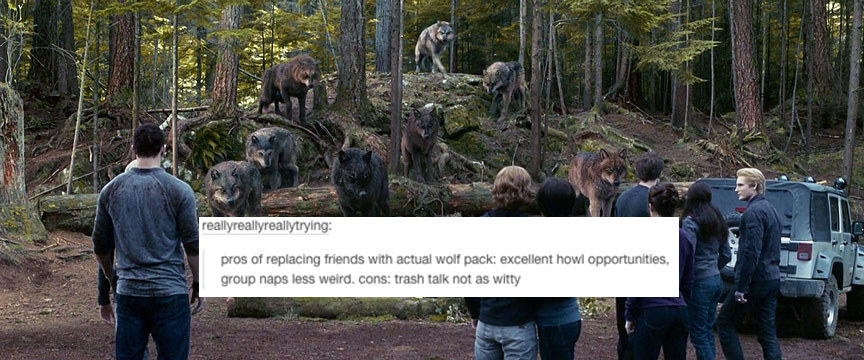 tumblr.com
