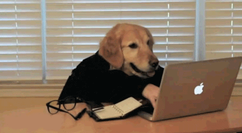 giphy.com