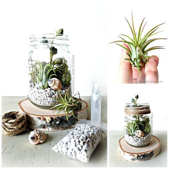 pinterest.com