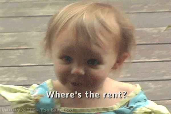 giphy.com