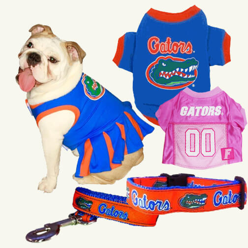 UF Game day apparel