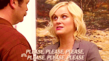 http://giphy.com/gifs/please-parks-and-recreation-amy-poehler-d0Pkp9OMIBdC0 leslie