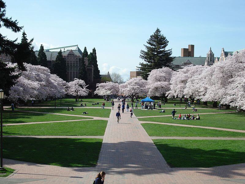 UW quad