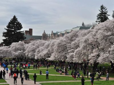 university of washington