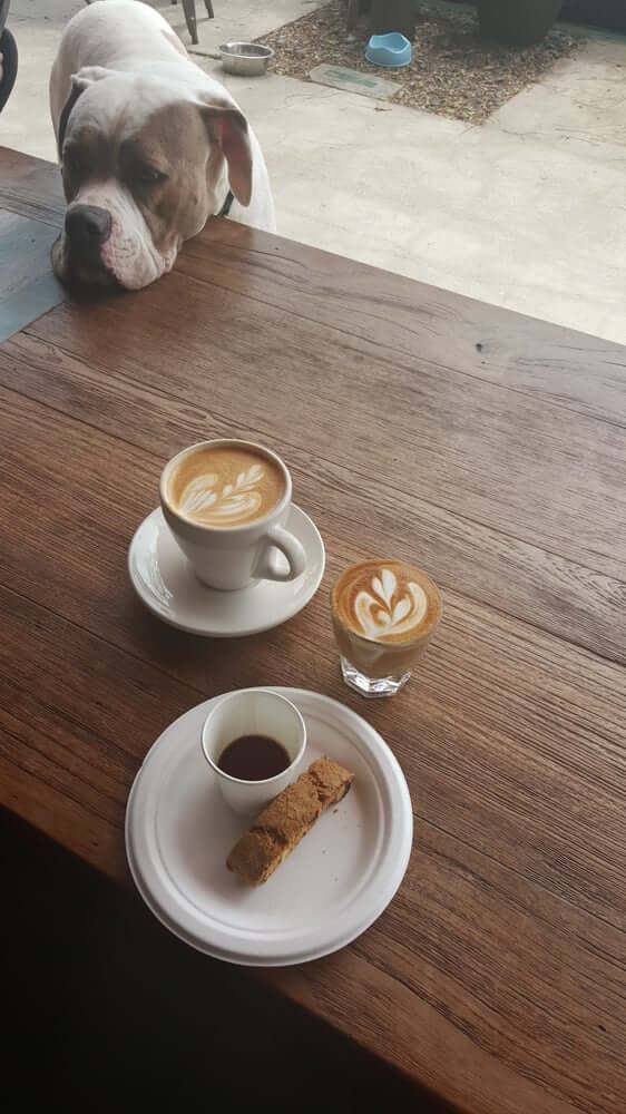 coffee shops in san diego