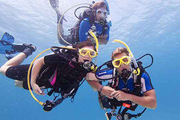 padi.com