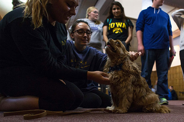 dailyiowan.com