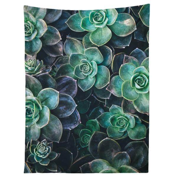 cmshopsucculent_tapestry_grande