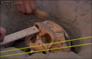 Anthropologists cracking open a skull