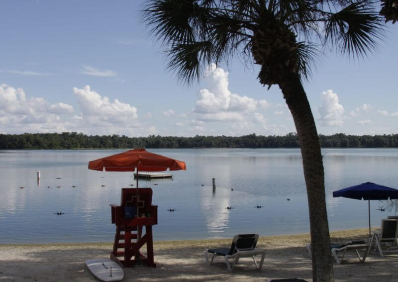 Lake Wauburg at UF is a relaxing place to study