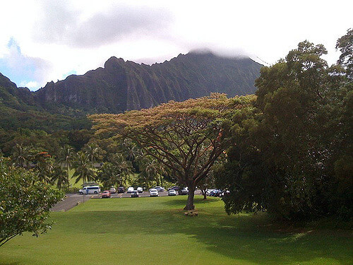 Hawaii Pacific University won't bring winter blues.