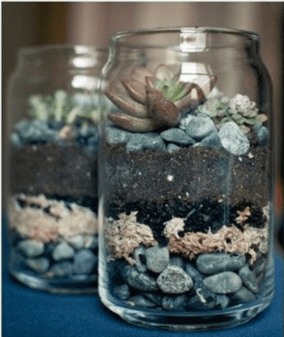 DIY Succulent Planter for your Hipster Friend