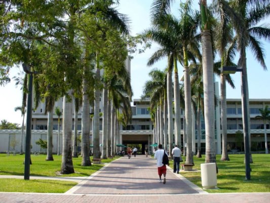 University of Miami is a tropical paradise.