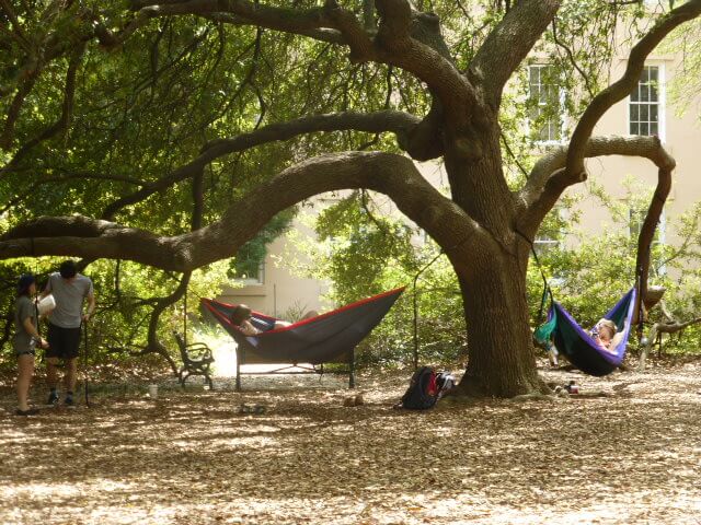 Those Eckerd hammocks are so comfortable.