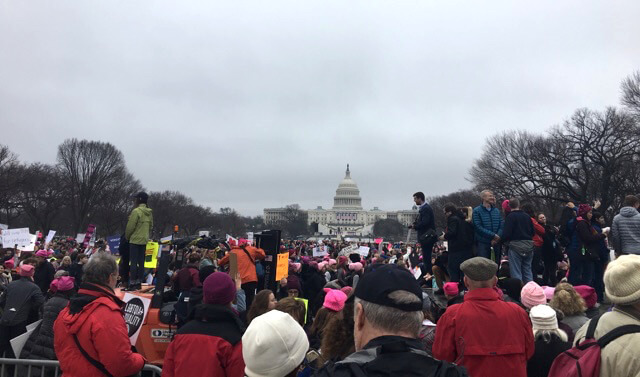 The sea of pink pussyhats looked impressive at the Women's March.
