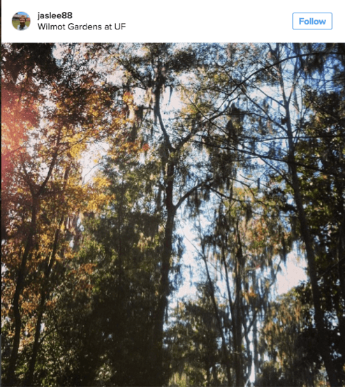 Wilma Gardens at UF is a great place to hammock 