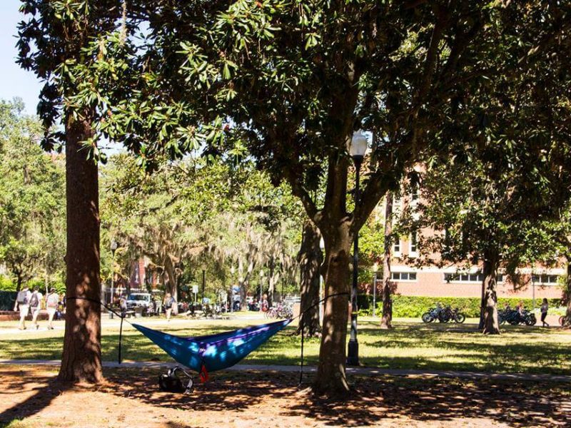 UF student hangs in hammock on campus