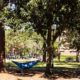 UF student hangs in hammock on campus