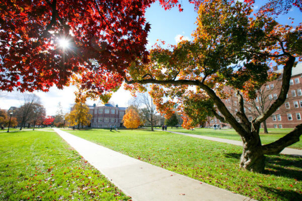On a pretty day, you'll want to study on the residential quad at Vassar.