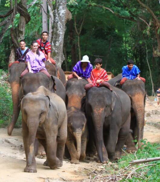 Elephant Riding Experience adventures riding an elephant.