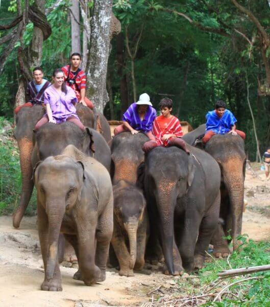 Experience adventures riding an elephant.