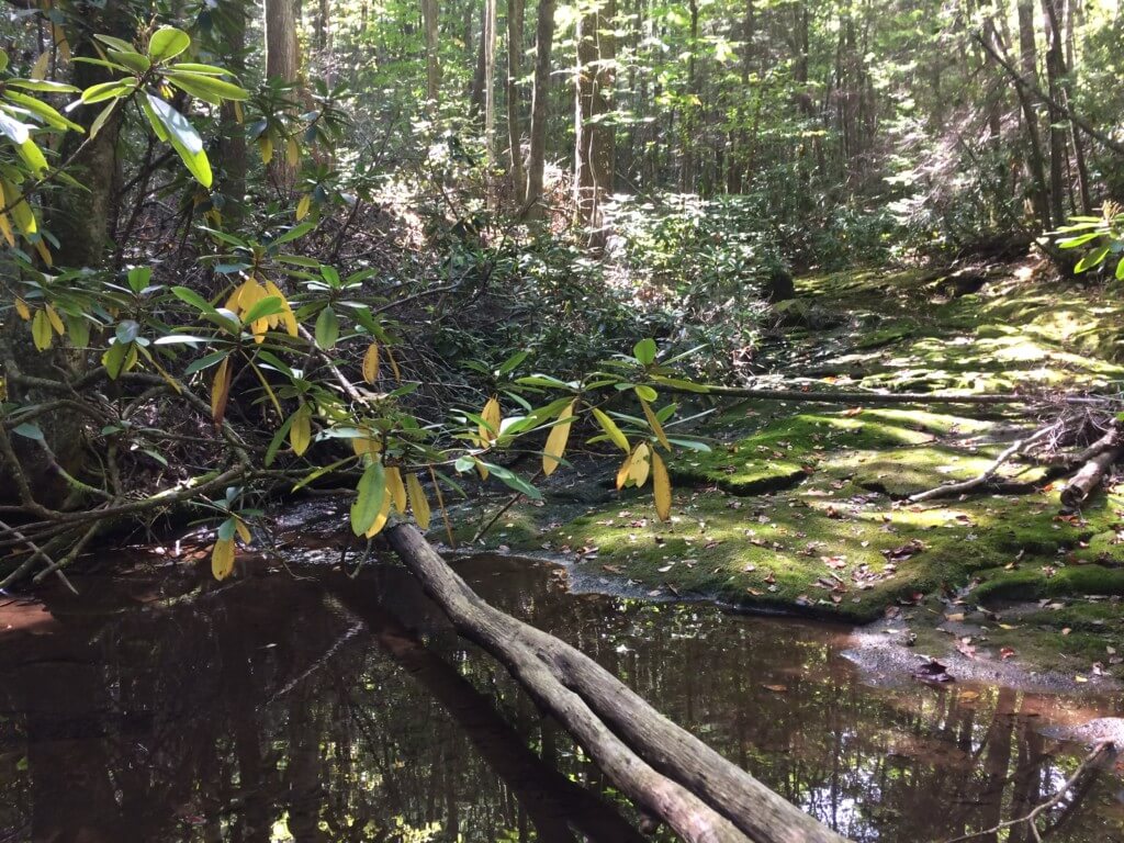 A beautiful lunch spot in Southwestern Virginia.