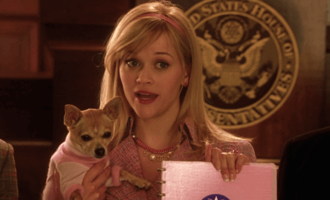 Elle Woods studied for her LSAT before heading to the court room.