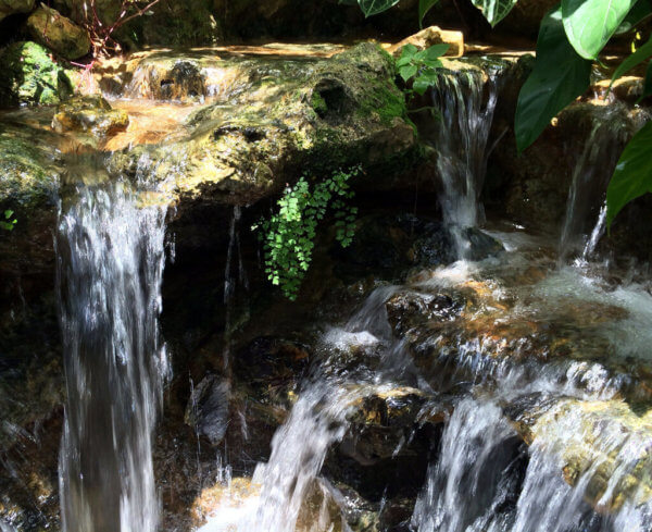 Celebrate Galentine's Day in Gainesville exploring the city and hitting spots like the Butterfly Rainforest