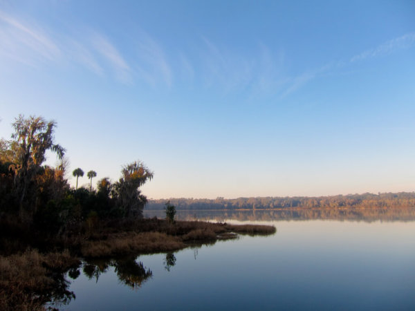 Celebrate Galentine's Day in Gainesville sitting by Lake Wauberg and enjoying the water